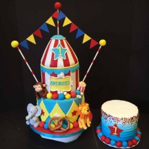 Circus and Smash Cake
