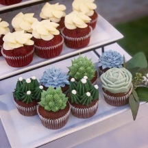 Succulent Cupcakes