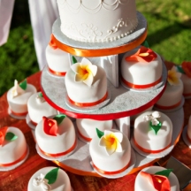 Elizabeth's Mini Cakes, B. Gibson of Terra Photography