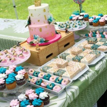Pink and Teal Dessert Table