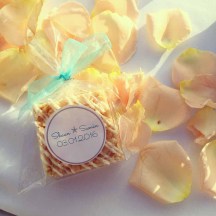 Rice Krispy Favors