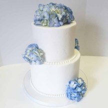 Blue Hydrangeas