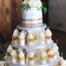 Cake Shooter Wedding Cake