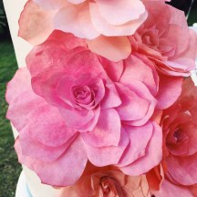 Coral Tissue Paper Flowers 2