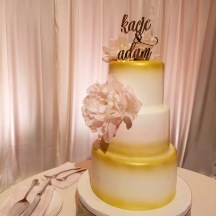 Gold Airbrush and Blush Peony