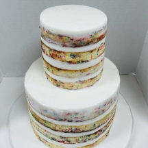 FULLY Naked Confetti Cake