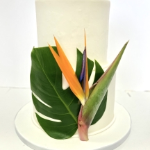 Bird of Paradise & Monstera