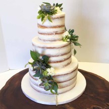 Naked Cake with Succulents