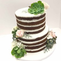 Naked Cake witih Succulents