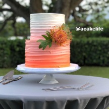 Ombre Buttercream and a Fresh Protea