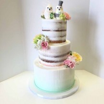 Semi Naked Drip Cake with Ombre