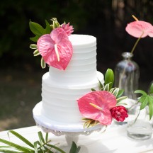 Textured Buttercream with Antherium