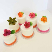 Tropical Mini Cakes