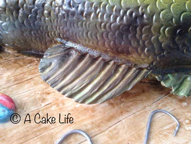 bass fish 3